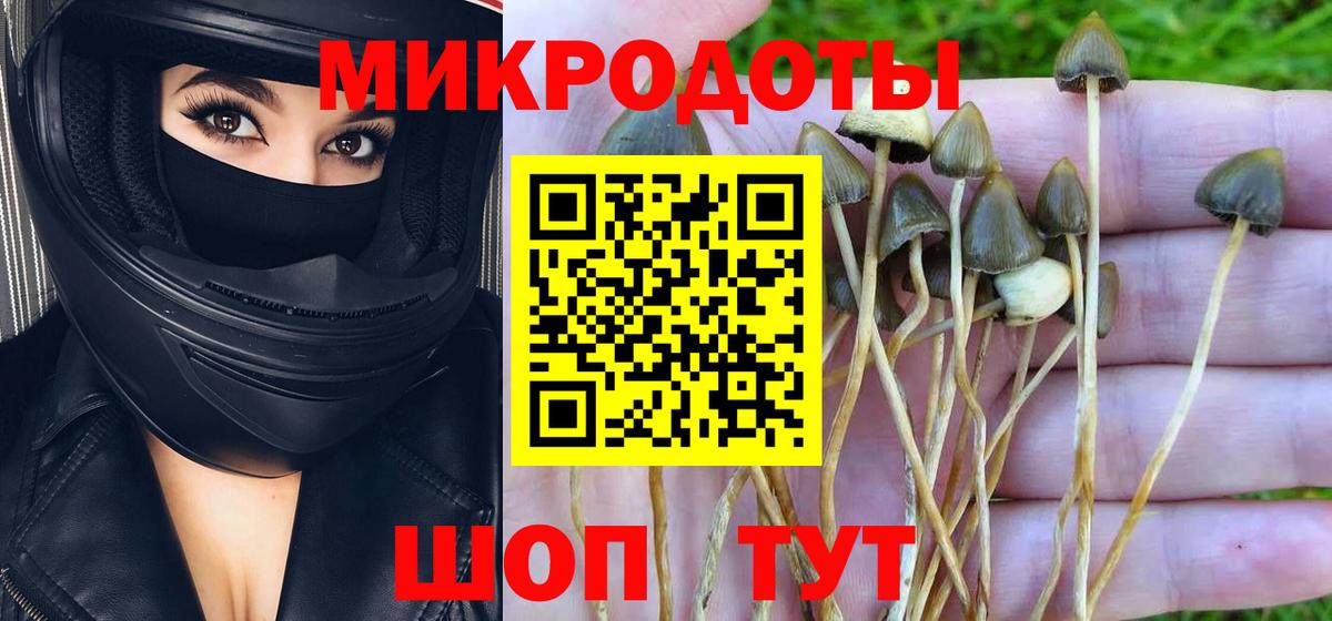 Псилоцибиновые грибы Psilocybine cubensis  Вход с VPN  Вязьма 
