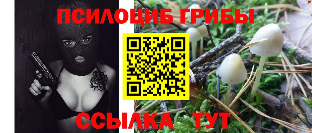 Псилоцибиновые грибы ЛСД Вязьма